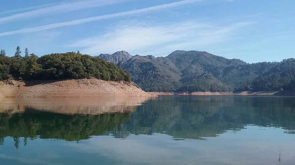 A calm cove on Shasta Lake with forested hills